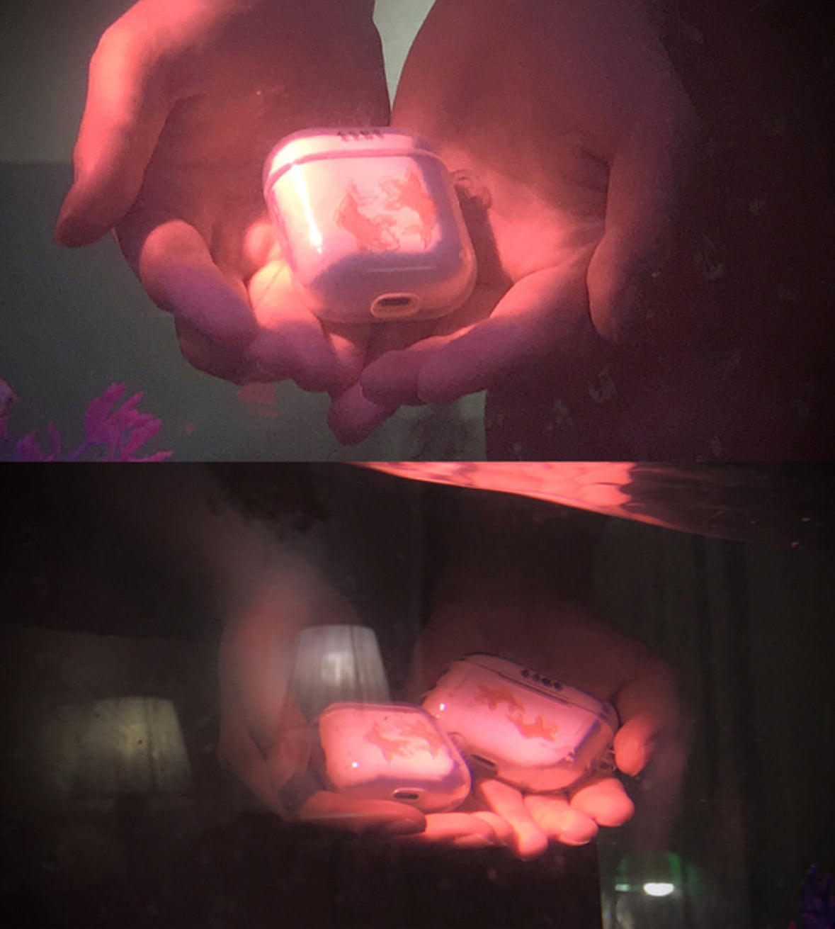 ๐๐ผ๐ณ๐ ๐๐ต๐๐ป๐ฑ๐ฒ๐ฟ - ๐ณ๐๐๐๐ฟ๐ฒ ๐ฐ๐ถ๐๐ ๐ธ๐ผ๐ถ ๐ฎ๐ถ๐ฟ๐ฝ๐ผ๐ฑ ๐ฐ๐ฎ๐๐ฒ