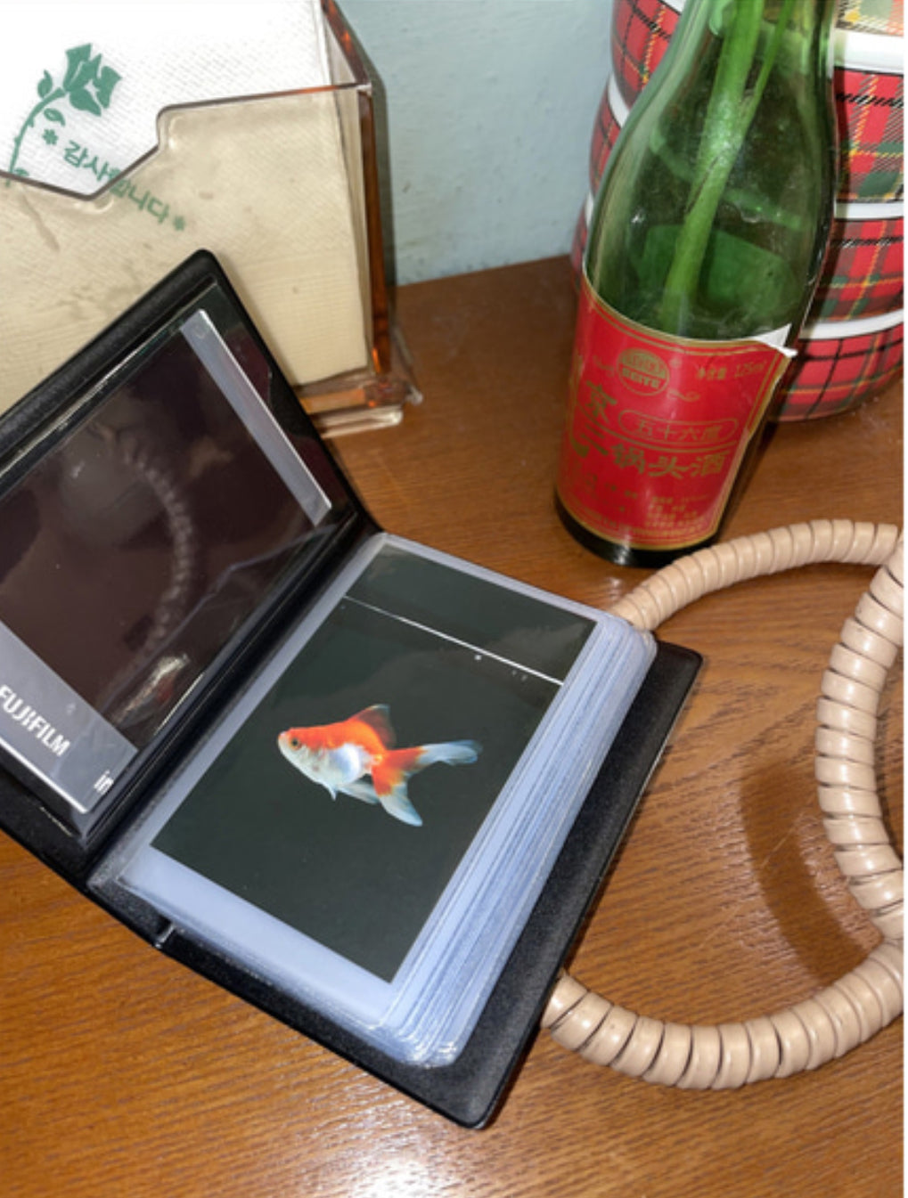 ๐ฐ๐ผ๐บ๐ฒ ๐ฏ๐ฎ๐ฐ๐ธ ๐ต๐ผ๐บ๐ฒ - ๐ณ๐๐๐๐ฟ๐ฒ ๐ฐ๐ถ๐๐ ๐ฐ๐ผ๐น๐น๐ฒ๐ฐ๐ ๐ฏ๐ผ๐ผ๐ธ