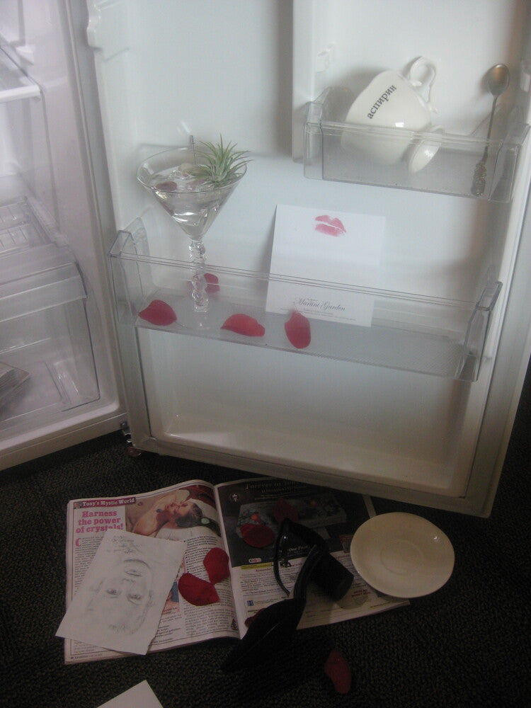 𝘁𝗶𝗹𝗹𝗮𝗻𝗱𝘀𝗶𝗮 𝗼𝗻 𝘁𝗵𝗲 𝗿𝗼𝗰𝗸𝘀 - 𝗺𝗮𝗿𝘁𝗶𝗻𝗶 𝗽𝗹𝗮𝗻𝘁𝗲𝗿