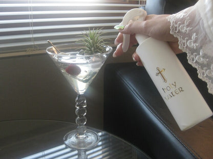 𝘁𝗶𝗹𝗹𝗮𝗻𝗱𝘀𝗶𝗮 𝗼𝗻 𝘁𝗵𝗲 𝗿𝗼𝗰𝗸𝘀 - 𝗺𝗮𝗿𝘁𝗶𝗻𝗶 𝗽𝗹𝗮𝗻𝘁𝗲𝗿