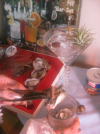 𝘁𝗶𝗹𝗹𝗮𝗻𝗱𝘀𝗶𝗮 𝗼𝗻 𝘁𝗵𝗲 𝗿𝗼𝗰𝗸𝘀 - 𝗺𝗮𝗿𝘁𝗶𝗻𝗶 𝗽𝗹𝗮𝗻𝘁𝗲𝗿