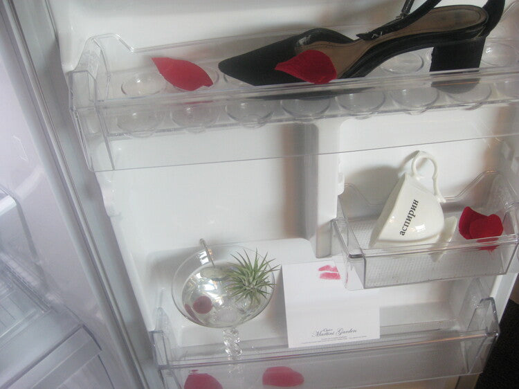 𝘁𝗶𝗹𝗹𝗮𝗻𝗱𝘀𝗶𝗮 𝗼𝗻 𝘁𝗵𝗲 𝗿𝗼𝗰𝗸𝘀 - 𝗺𝗮𝗿𝘁𝗶𝗻𝗶 𝗽𝗹𝗮𝗻𝘁𝗲𝗿