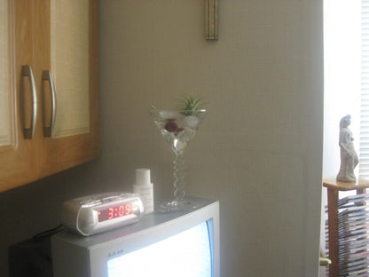 𝘁𝗶𝗹𝗹𝗮𝗻𝗱𝘀𝗶𝗮 𝗼𝗻 𝘁𝗵𝗲 𝗿𝗼𝗰𝗸𝘀 - 𝗺𝗮𝗿𝘁𝗶𝗻𝗶 𝗽𝗹𝗮𝗻𝘁𝗲𝗿