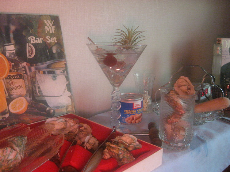 𝘁𝗶𝗹𝗹𝗮𝗻𝗱𝘀𝗶𝗮 𝗼𝗻 𝘁𝗵𝗲 𝗿𝗼𝗰𝗸𝘀 - 𝗺𝗮𝗿𝘁𝗶𝗻𝗶 𝗽𝗹𝗮𝗻𝘁𝗲𝗿